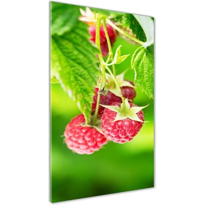 Vertikálny foto obraz sklenený Malina na kríku 50x100 cm
