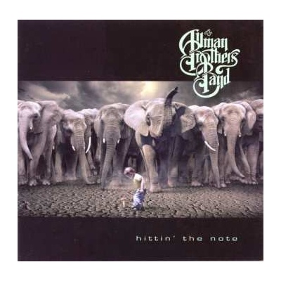 Allman Brothers - Hittin' The Note CD