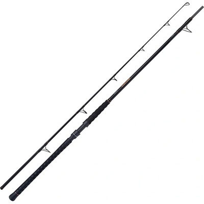Shimano Beastmaster AX Catfish Static 3 m 400 g 2 díly