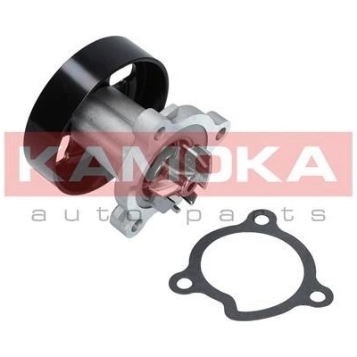 KAM-T0221