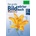 PONS Das große Bildwörterbuch