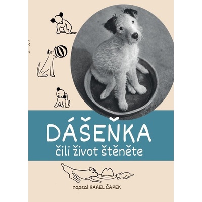 Dášeňka čili život štěněte