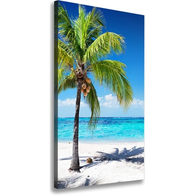 Vertikálny foto obraz na plátne Tropická pláž 50x100 cm