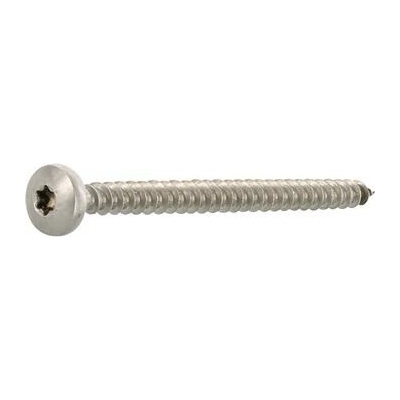 Vrut půlkulatá hlava 3.5x 25 plný závit Torx 10, nerez A2 (500 ks)