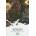 Spawn: Origins Volume 9