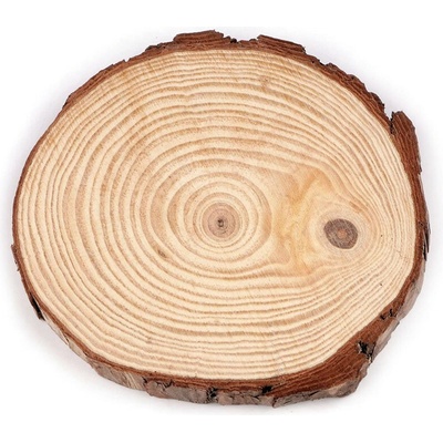 Přírodní dřevěné kolečko / podložka k domalování a dotvoření Ø16 cm, střední, přírodní