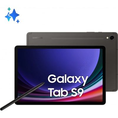 Samsung Galaxy Tab S9 5G SM-X716BZAEEUB