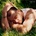 Smith Sam: Love Goes LP