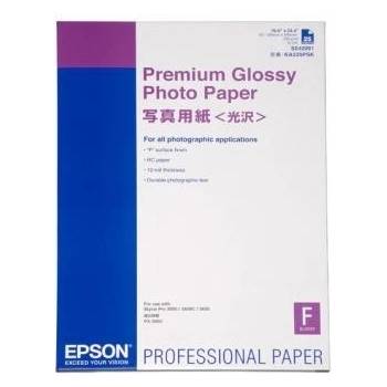 Epson Premium Glossy Photo Paper S042091, 255 g/m2, A2, 25бр, лъскав, бял, фотохартия (C13S042091)