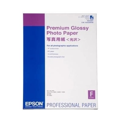 Epson Premium Glossy Photo Paper S042091, 255 g/m2, A2, 25бр, лъскав, бял, фотохартия (C13S042091)