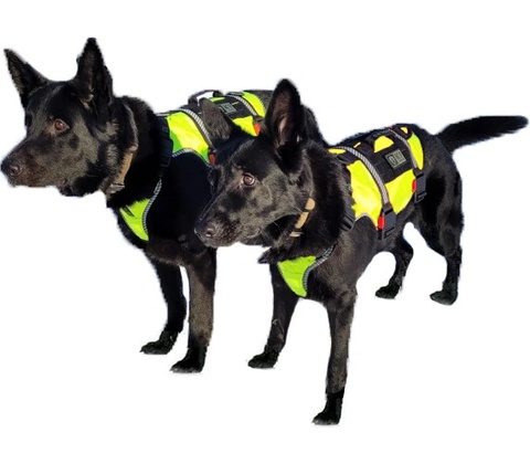 K9 Thorn postroj ONE