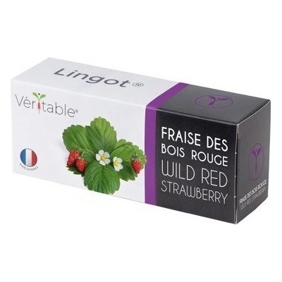 Véritable Lingot Divoké červené jahody