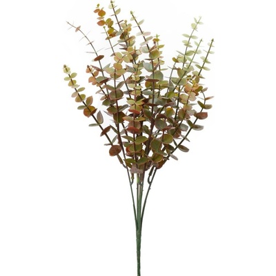 ZELEŇ EUCALYPTUS BABY BLUE ZELENO-ČERVENÝ 41cm