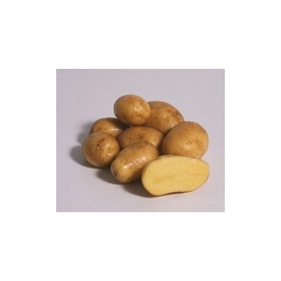 Sadbove Brambory Ditta () Sadbove Brambory Ditta