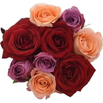 Kytice 9 míchaných růží RED LADY ORLEA 60cm