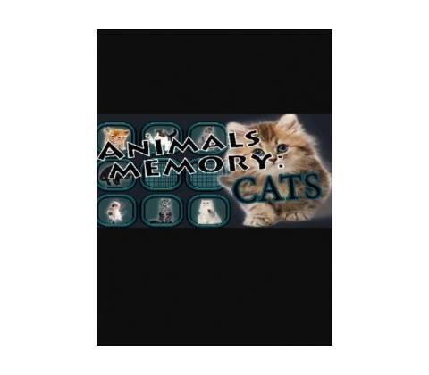 Animals Memory: Cats
