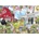 Bluebird Puzzle - Puzzle Spring Green farm - 500 piese