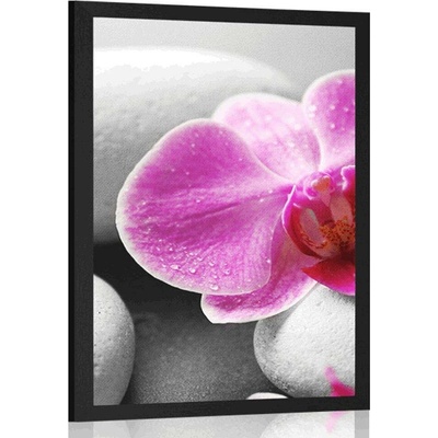 Plakát květiny orchideje na bílých kamenech - 30x45 no frame
