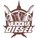 Buddha Seeds Diesel semena neobsahují THC 5 ks