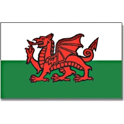 Vlajka Severní Wales 30 x 45 cm na tyčce
