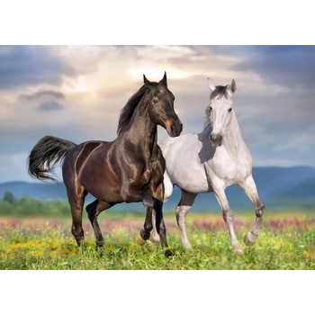 Image 1 of Bluebird Puzzle - Puzzle Couple de Chevaux - 500 piese