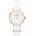 Daniel Wellington DW00100313