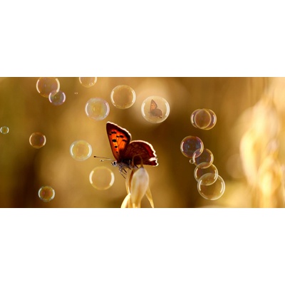 BONDECOR MOTÝL BUBBLES