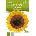 Hortus Слънчоглед Жълт Гигант Helianthus annuum