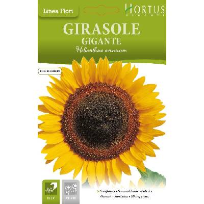 Hortus Слънчоглед Жълт Гигант Helianthus annuum