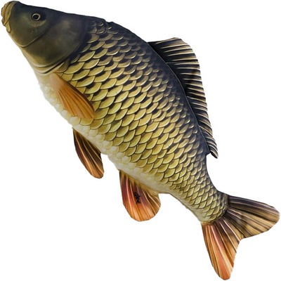 Gaby polštářek ryba Kapr šupináč mini 36 cm – Zbozi.Blesk.cz