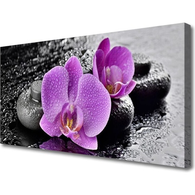 Obraz Canvas Orchidea kvety kamene zen 100x50 cm