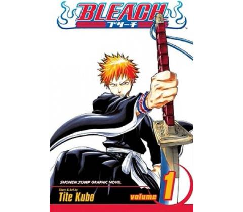 Bleach, Vol. 1