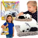 LEAN Toys Sleeping Panda On Pillow Plush Figure with Fur Transparent Bag