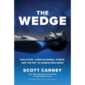 Wedge | Boone Amelia, Asprey Dave (ISBN: 9781734194302)