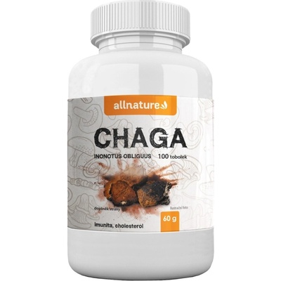 Chaga Čaga 300 mg ryšavec šikmý 100 ks