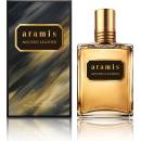 Aramis Modern Leather parfémovaná voda pánská 110 ml