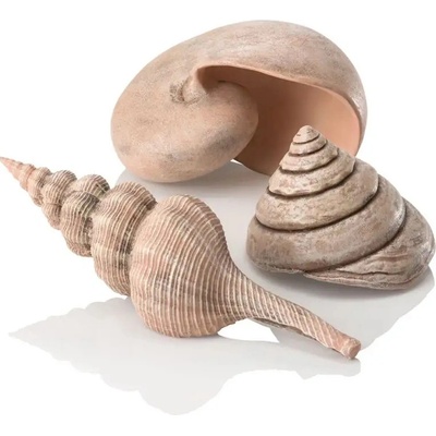 BiOrb Sea Shells Decor Set natural 13, 6,5, 9,5 cm – Zboží Dáma