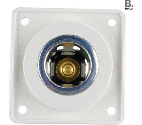 Berker 321/271