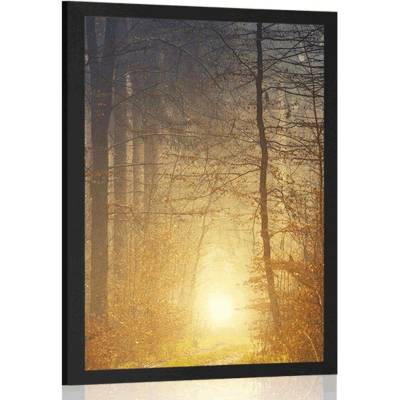 Plakát světlo v lese - 20x30 silver