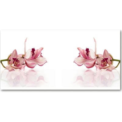 Foto obraz sklo tvrzené orchidea 100x50 cm