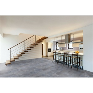 CLASSEN 56020 Concrete Grey | Visio Grande 8mm AC4 4V (56020)