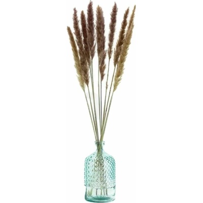 Sušené kvety Pampas - natural fialová Kus: 1