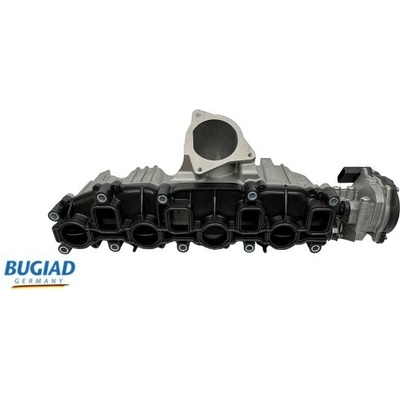 BUGIAD BIM17010
