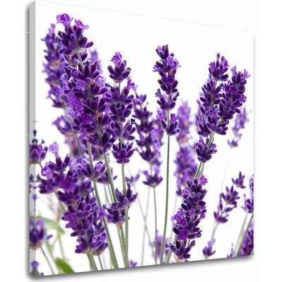 Obraz na stenu KVETY - 30x30