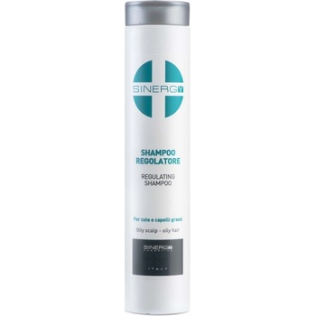 Sinergy Treatment Regulating Shampoo 250 ml