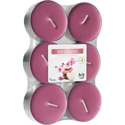 Bispol Aura Maxi Spa Garden 6 ks
