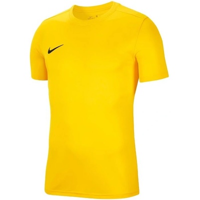 Nike Dry Park VII Jr BV6741 719
