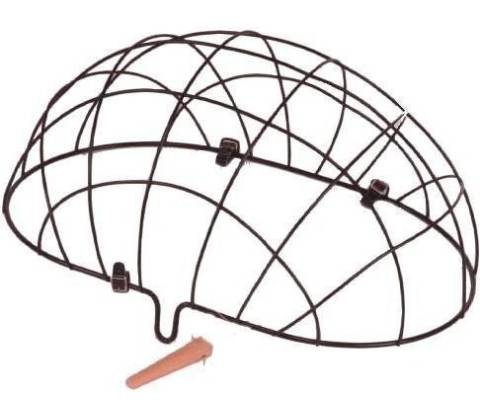 Basil PLUTO DOME