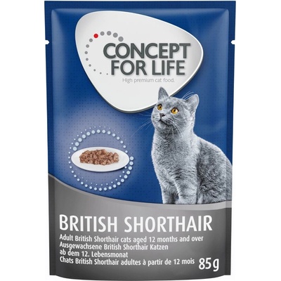 Concept for Life British Shorthair Adult 12 x 85 g