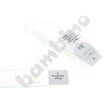 Комплект микроскопски препарати - крила на насекоми